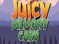 Conquistas e Troféus de Juicy Memory Card