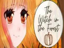 Conquistas e Troféus de The Witch in the Forest
