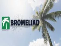Truques de Bromeliad para PC