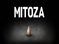Conquistas e Troféus de Mitoza