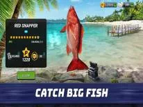 Truques de Fishing Clash para Android e iPhone