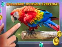 Truques de Puzzle definitivi para Android e iPhone